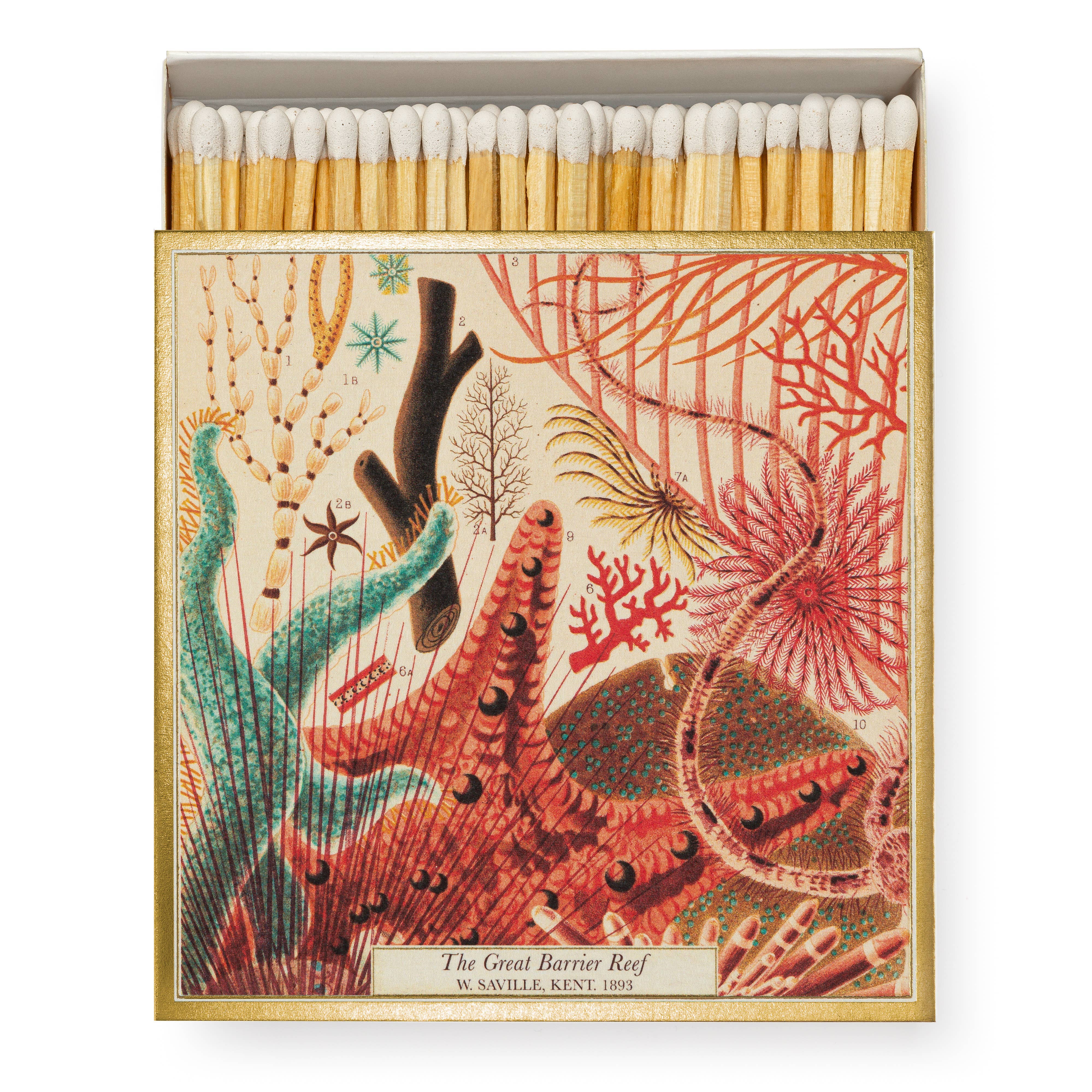 Great Barrier Reef Safety Matches by Archivist Gallery