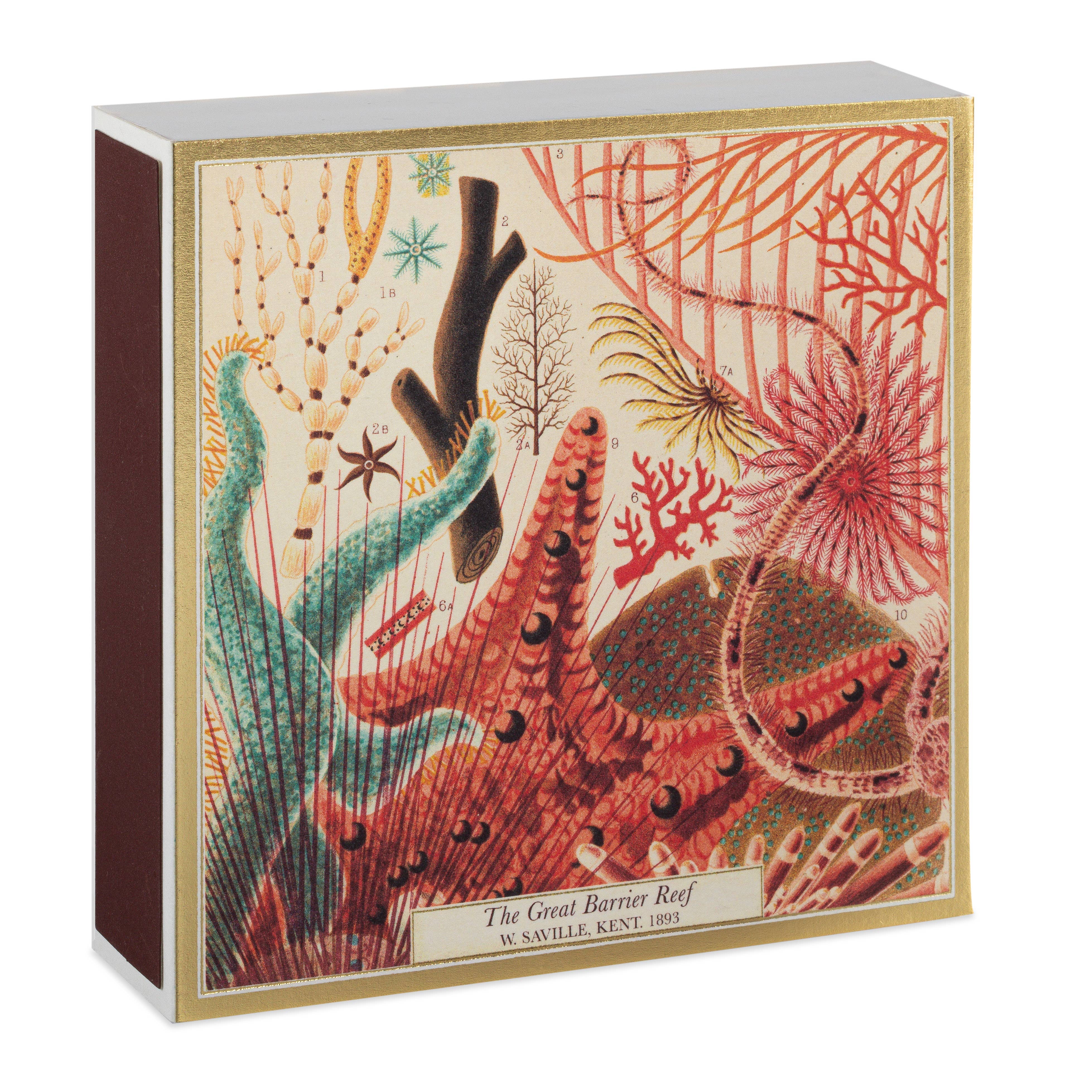 Great Barrier Reef Safety Matches by Archivist Gallery