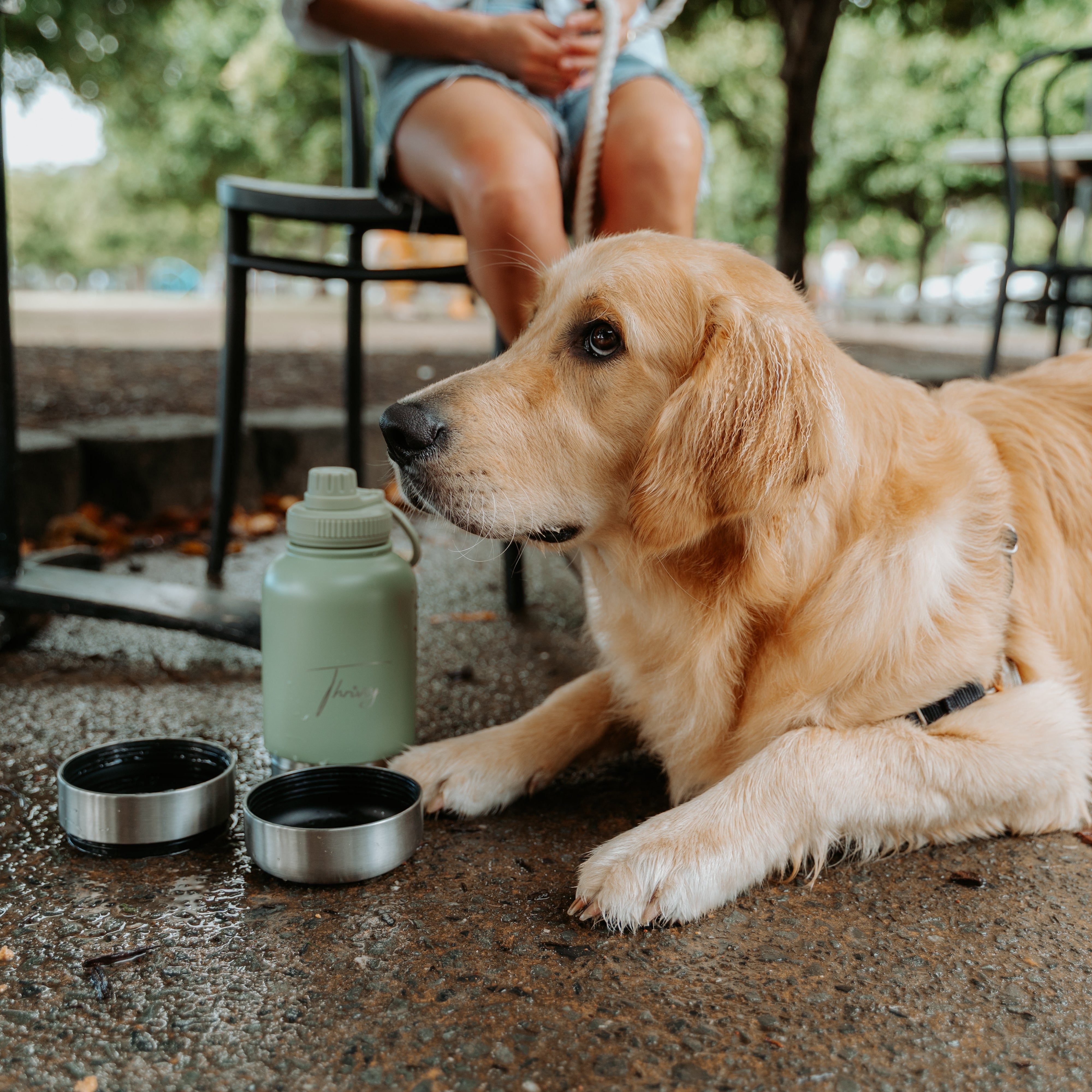 Thrivvy 3 in 1 Pet Companion Travel Water Bottle