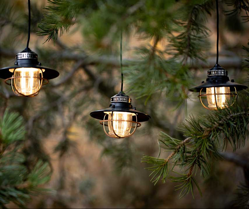 Edison String Lights (Bronze / Black) by Barebones Australia