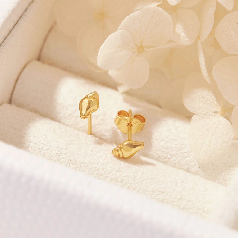 Conch Seashell Studs - Silver or Gold