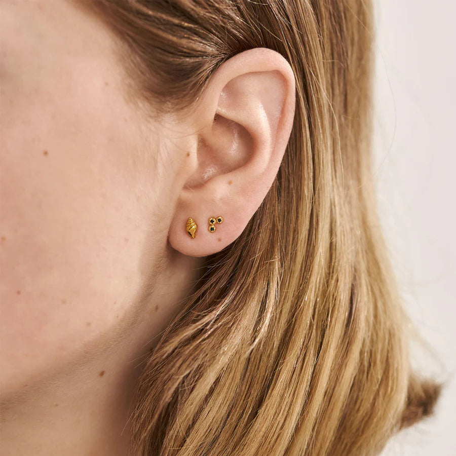 Conch Seashell Studs - Silver or Gold