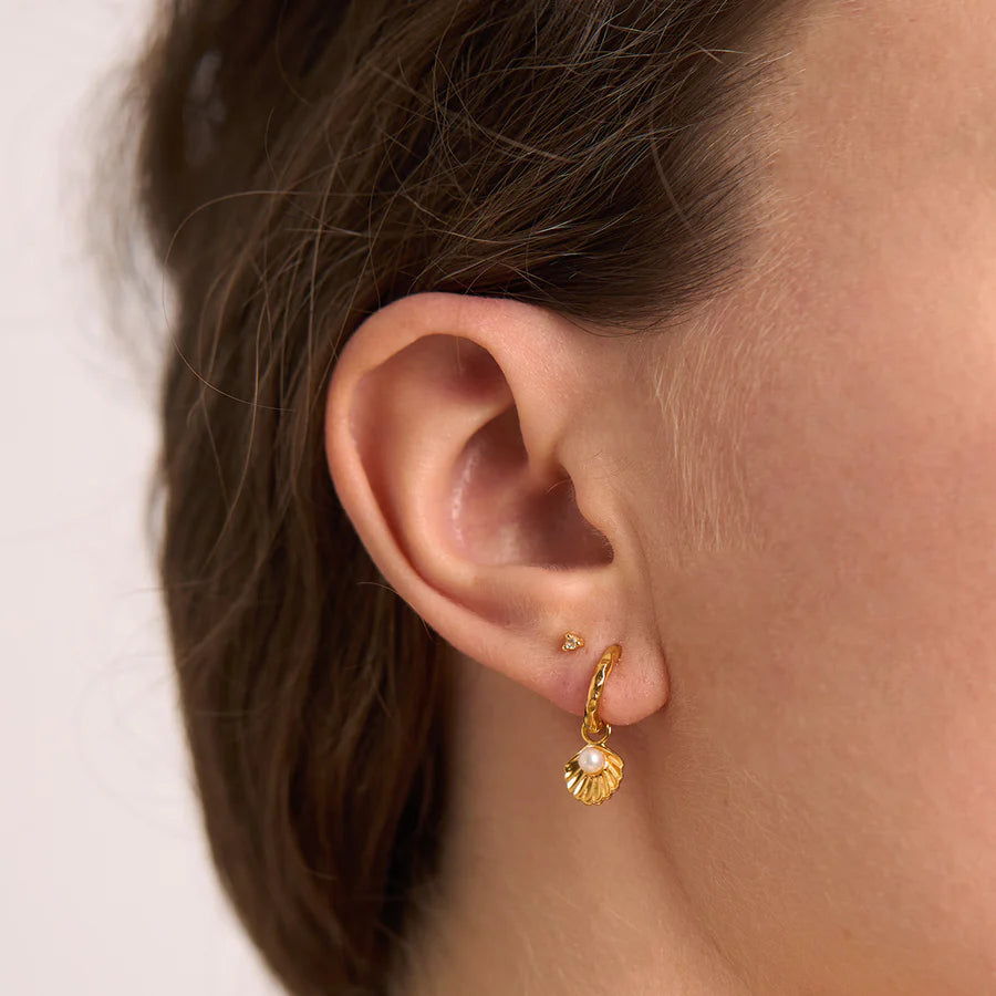 Seashell Earrings with Pearl (Gold)