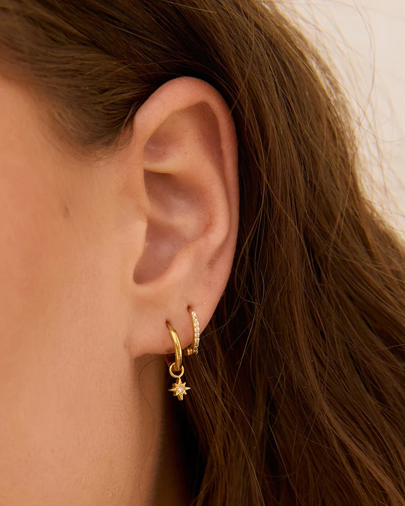Lior Gold Earrings by Arms of Eve