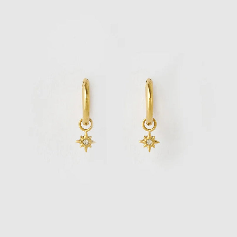 Lior Gold Earrings by Arms of Eve