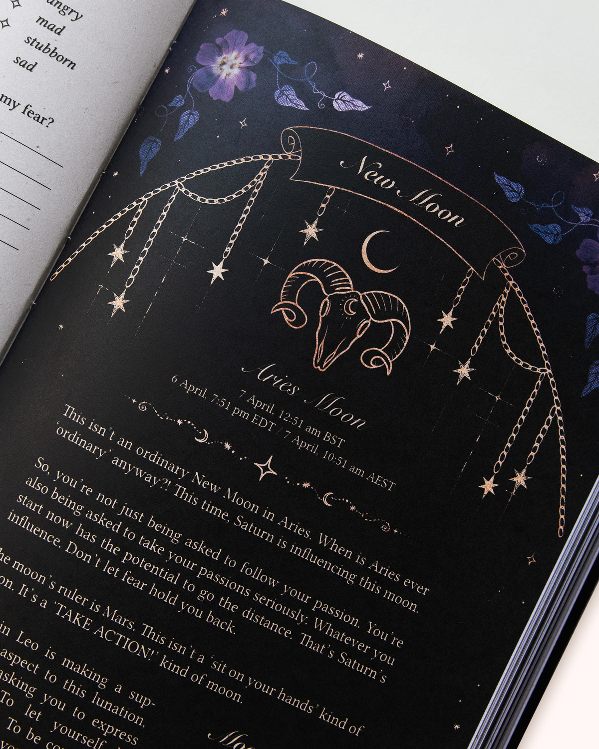 2027 Year of Growth Diary by Dreamy Moons - Midnight
