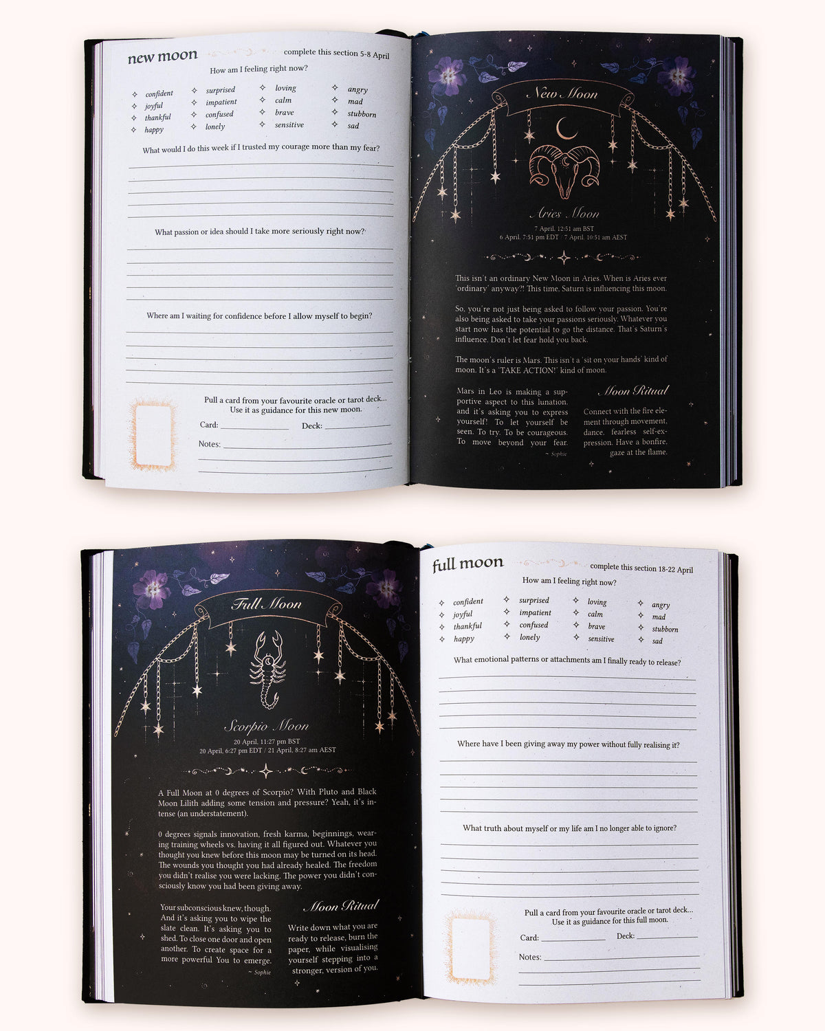 2027 Year of Growth Diary by Dreamy Moons - Midnight