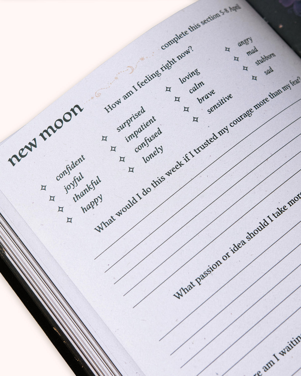 2027 Year of Growth Diary by Dreamy Moons - Midnight