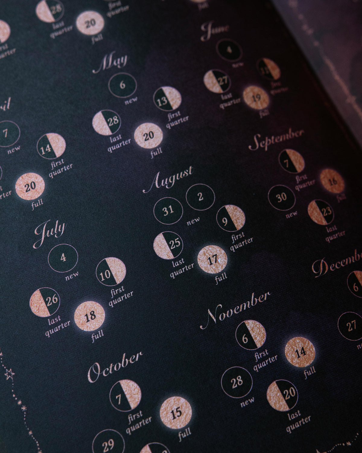 2027 Year of Growth Diary by Dreamy Moons - Midnight