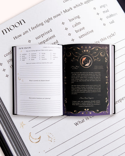 2026 Year of Growth Diary by Dreamy Moons - Rich Burgundy