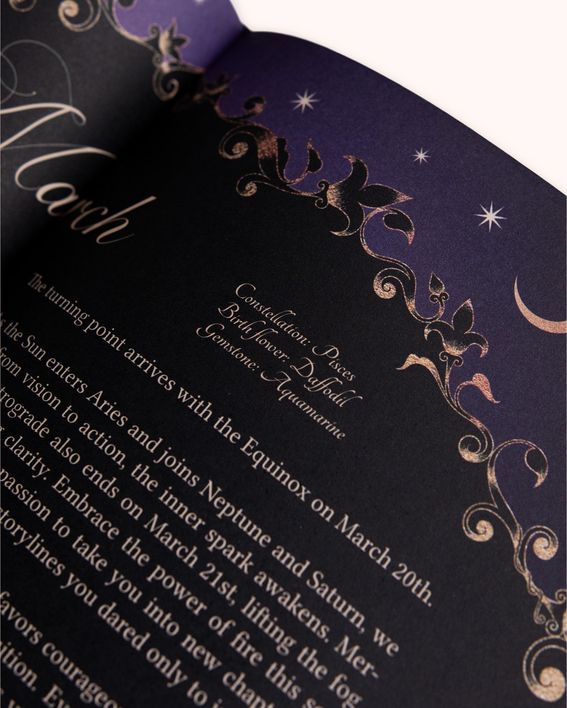 2026 Year of Growth Diary by Dreamy Moons - Rich Burgundy