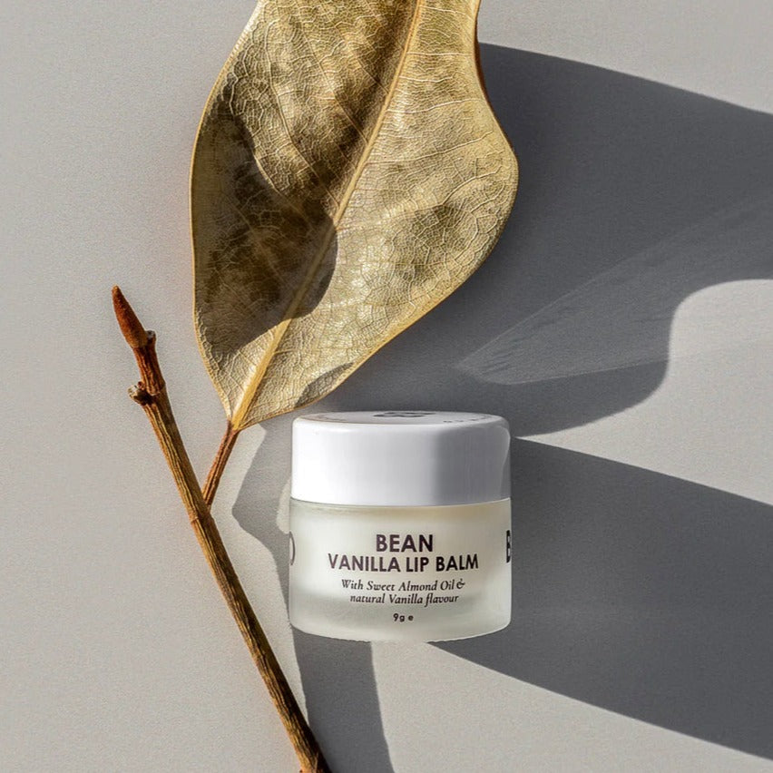 Balm Balm Co Vanilla Lip Balm