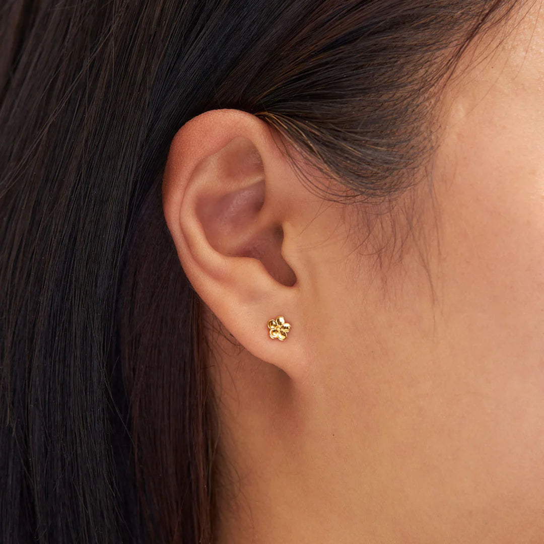Forget Me Not Studs (Gold)