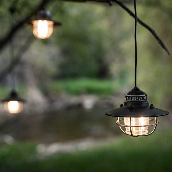 Edison String Lights (Bronze / Black) by Barebones Australia