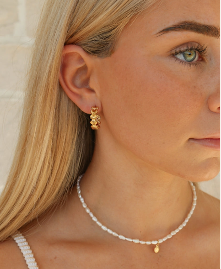 Seashells (Gold Earrings) by Sea Soul