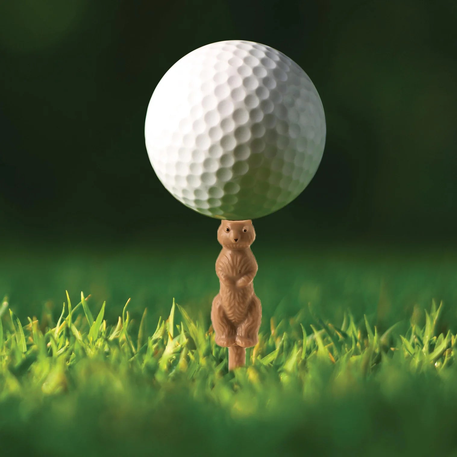 Gopher the Caddie Golf Tees