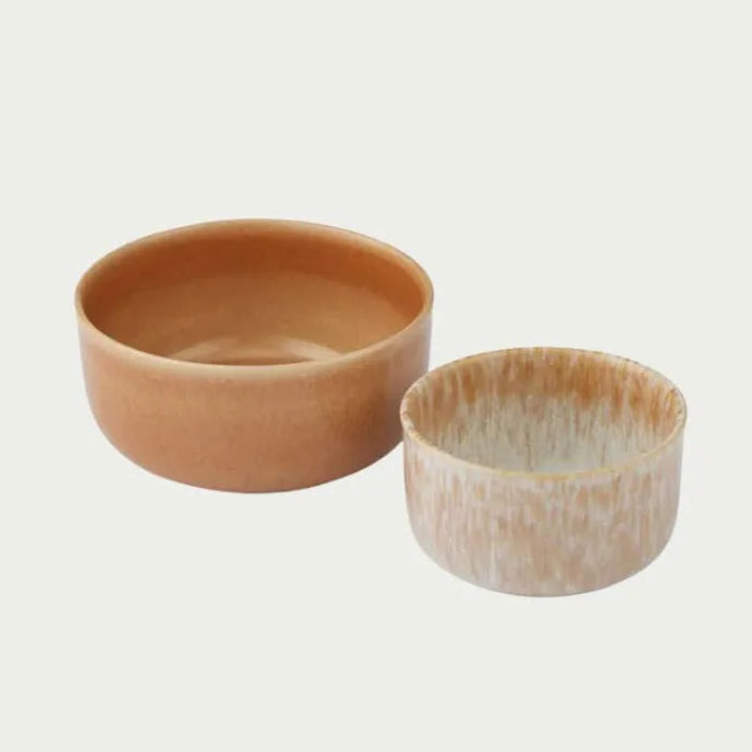 Ceramic Bowls (Set of 2) - Terra