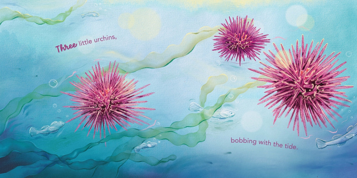 In the Rockpool - Hannah Sommerville