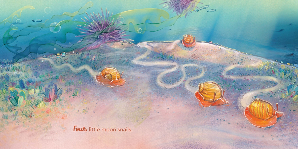 In the Rockpool - Hannah Sommerville