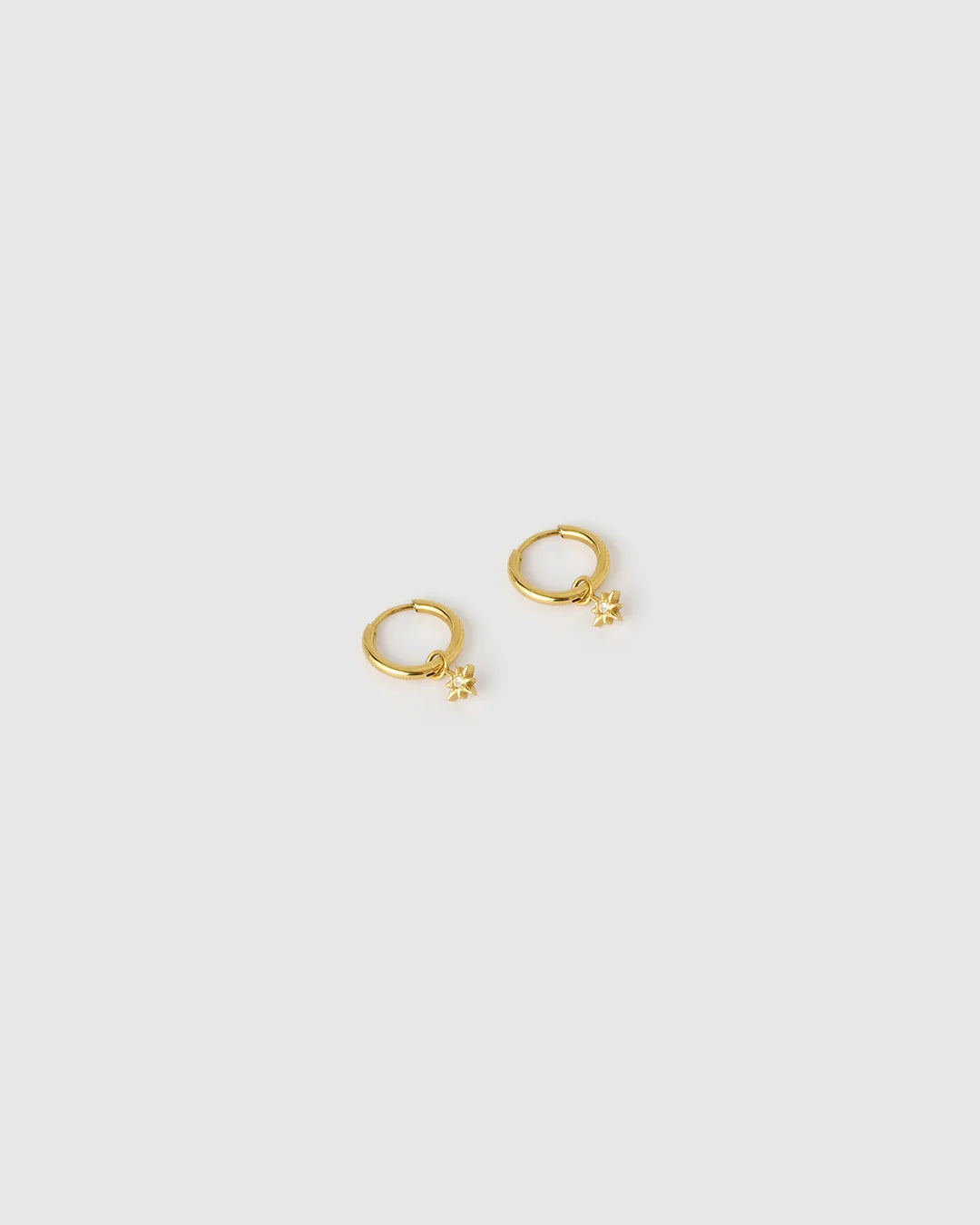 Lior Gold Earrings by Arms of Eve