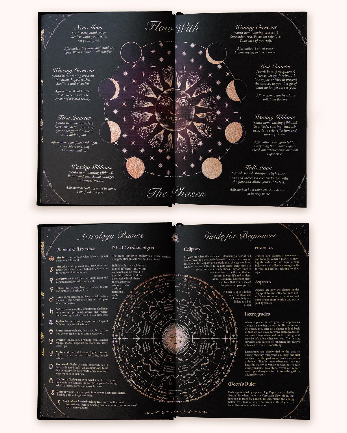 2027 Year of Growth Diary by Dreamy Moons - Midnight