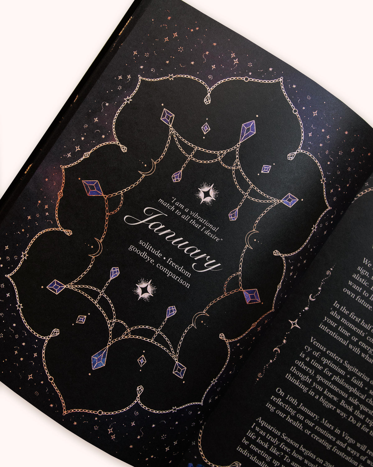 2027 Year of Growth Diary by Dreamy Moons - Midnight