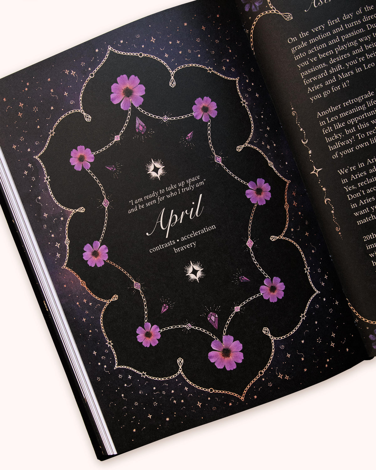 2027 Year of Growth Diary by Dreamy Moons - Midnight