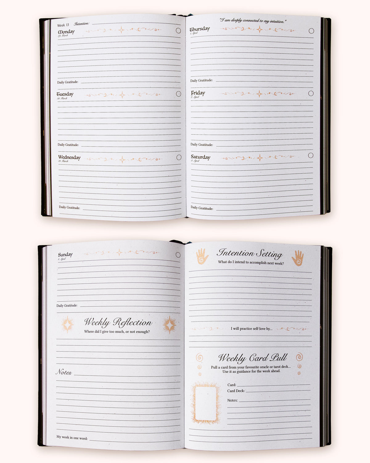 2027 Year of Growth Diary by Dreamy Moons - Midnight