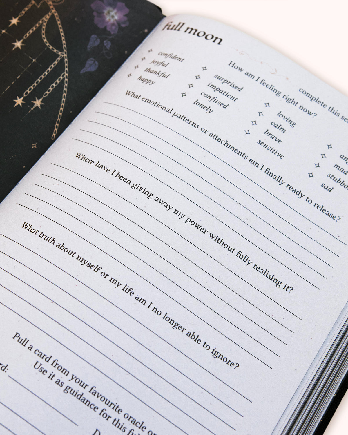 2027 Year of Growth Diary by Dreamy Moons - Midnight