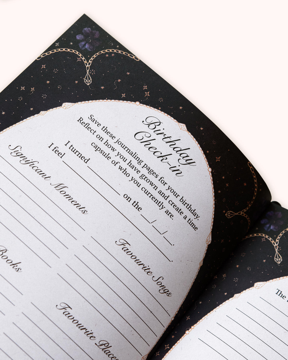 2027 Year of Growth Diary by Dreamy Moons - Midnight