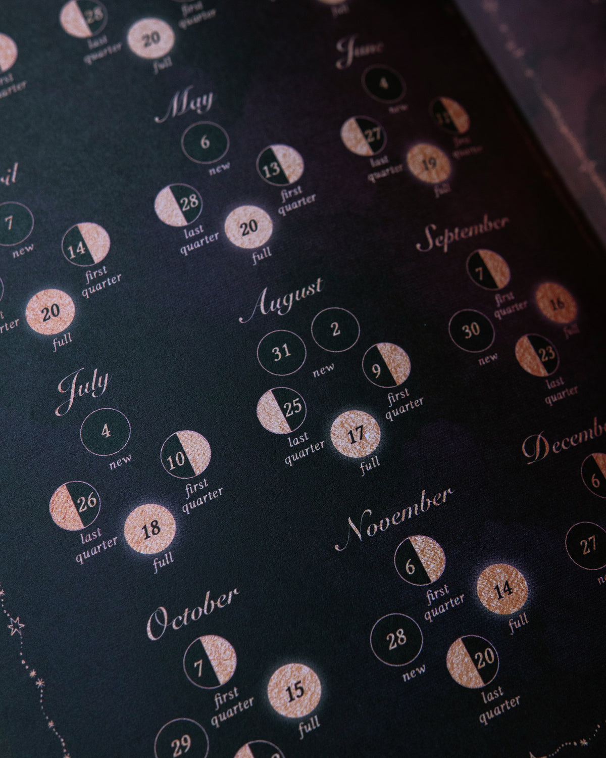 2027 Year of Growth Diary by Dreamy Moons - Midnight
