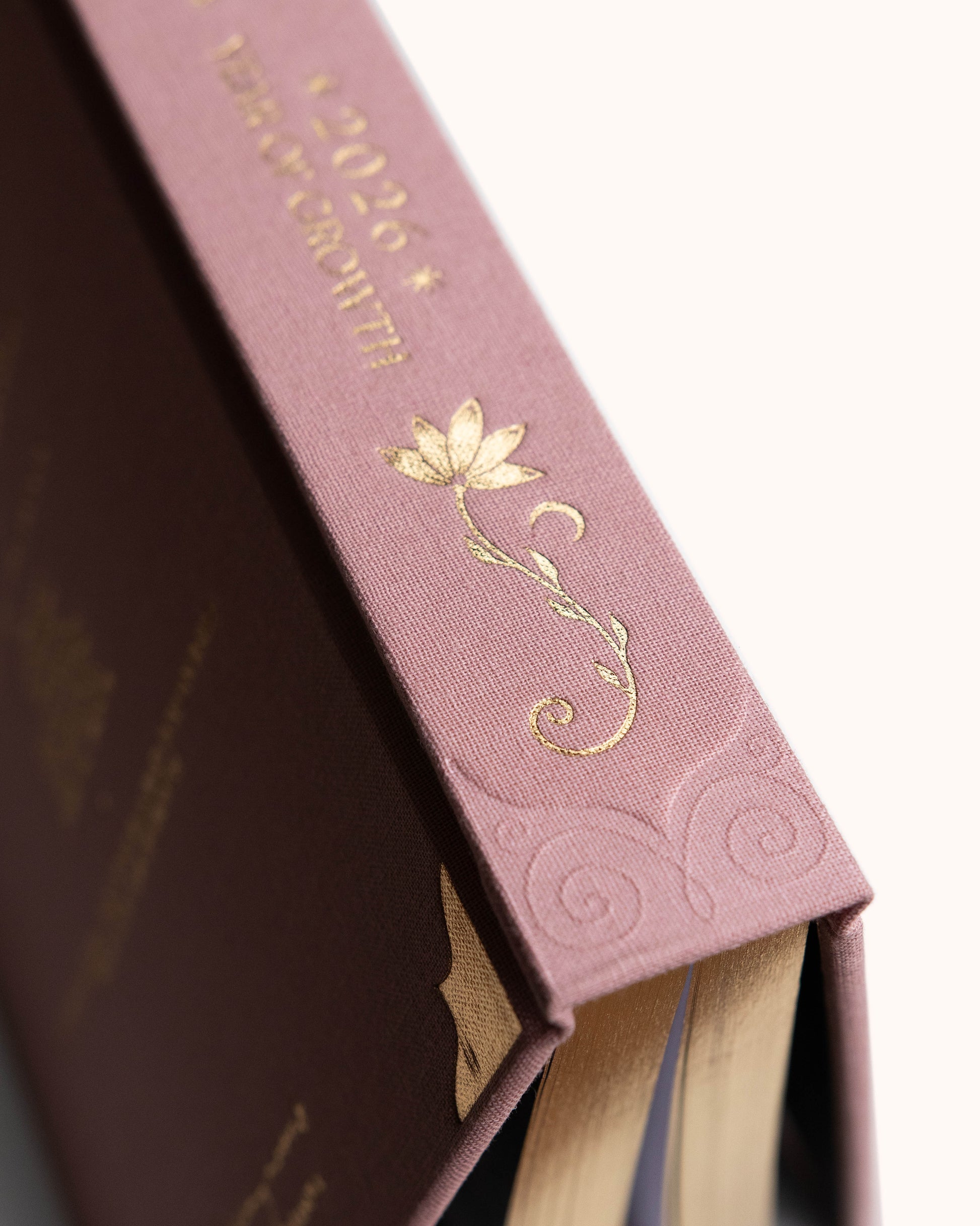 2026 Year of Growth Diary by Dreamy Moons - Vintage Rose