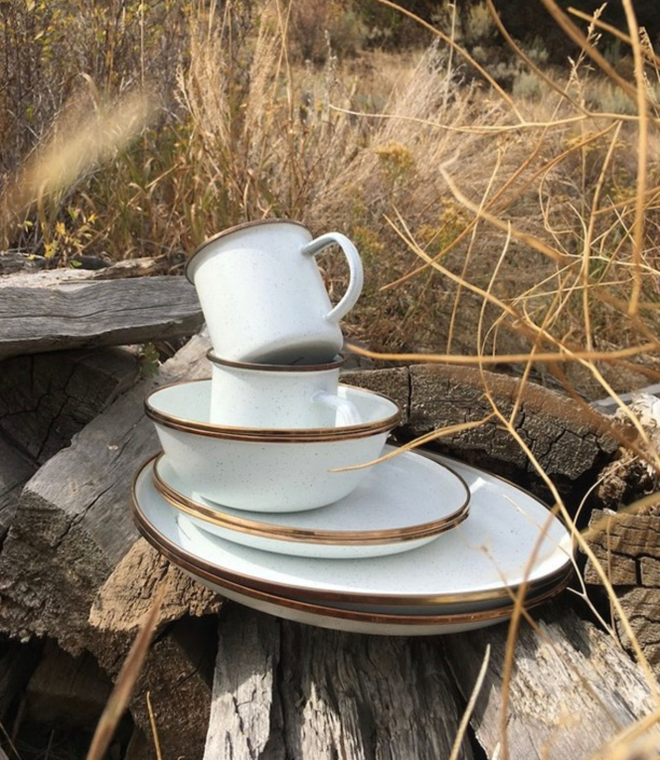 Barebones Enamel Bowls (set 2)