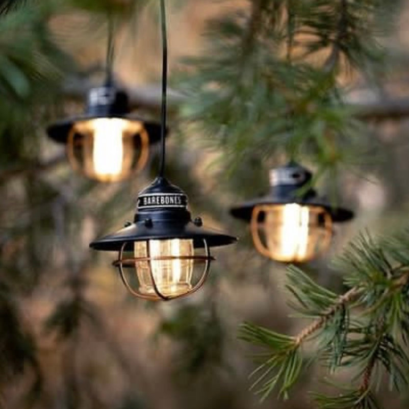 Edison String Lights (Bronze / Black) by Barebones Australia